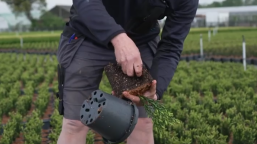 video-how-to-take-a-potting-soil-sample