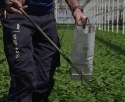 how-to-take-a-greenhouse-soil-sample-min