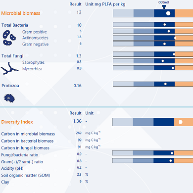 report_soil-life-monitor (1)