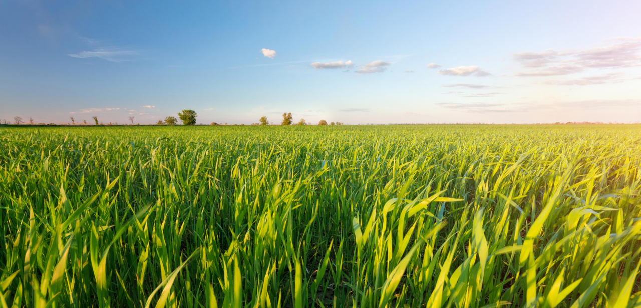 agriculture-agroscience