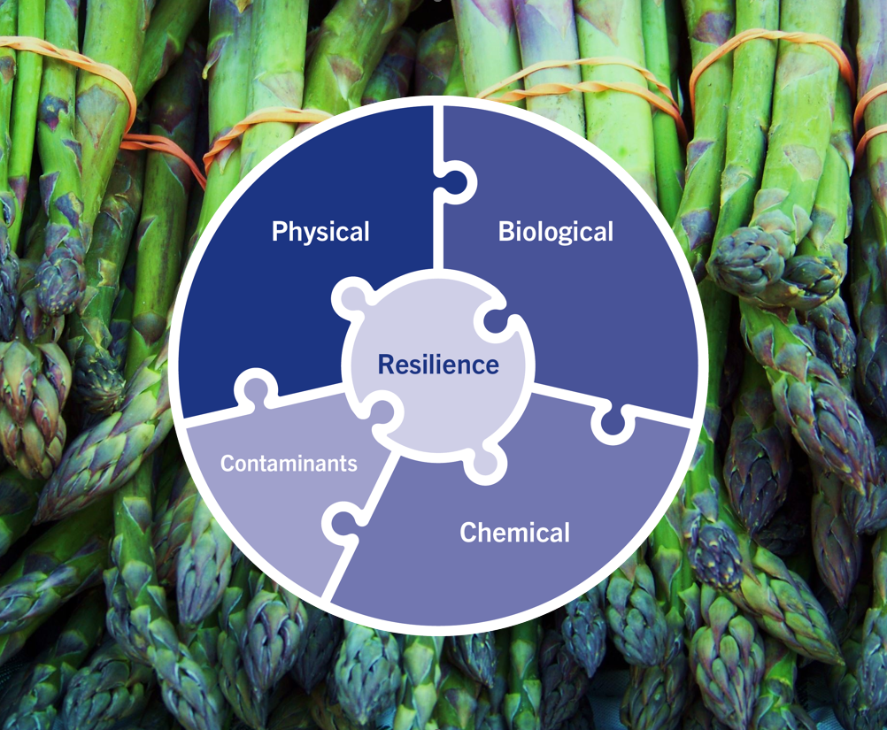 crop-solutions-graphic