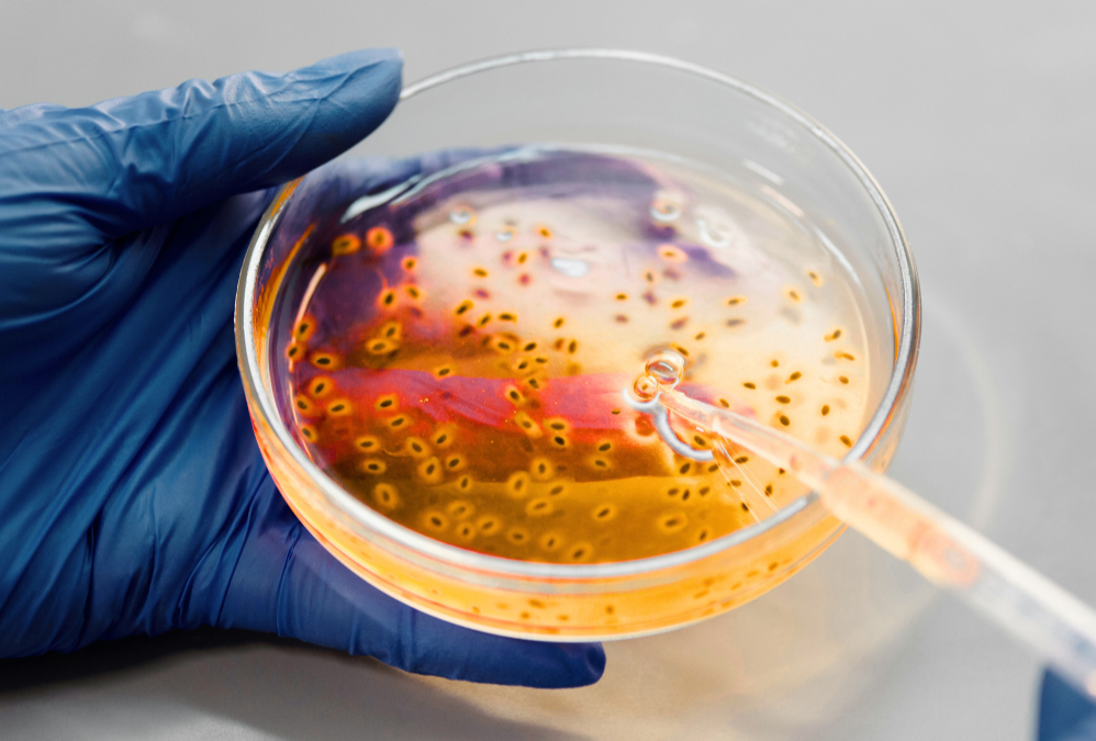 service-overview-microbio