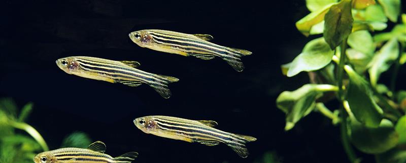 adobestock_371765225_1920x774