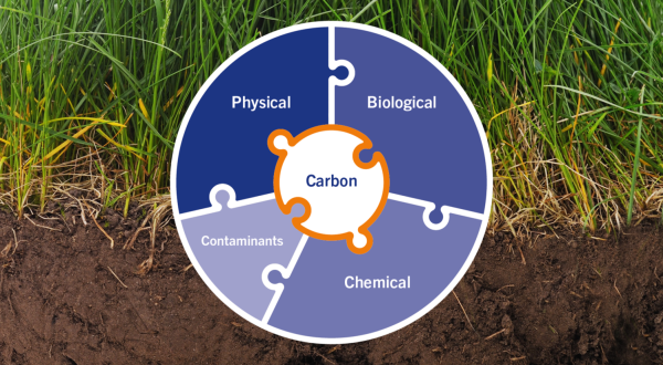 soil-carbon-check-puzzle