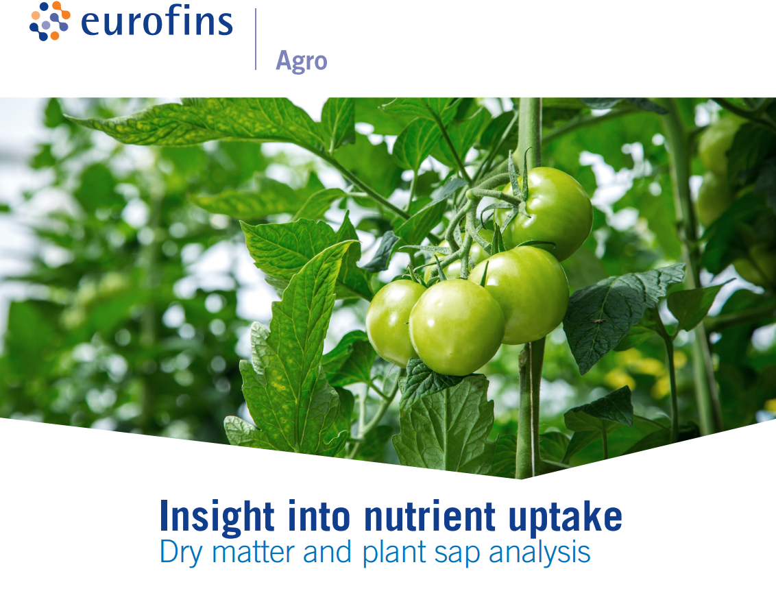 brochure-plantsapanalysis