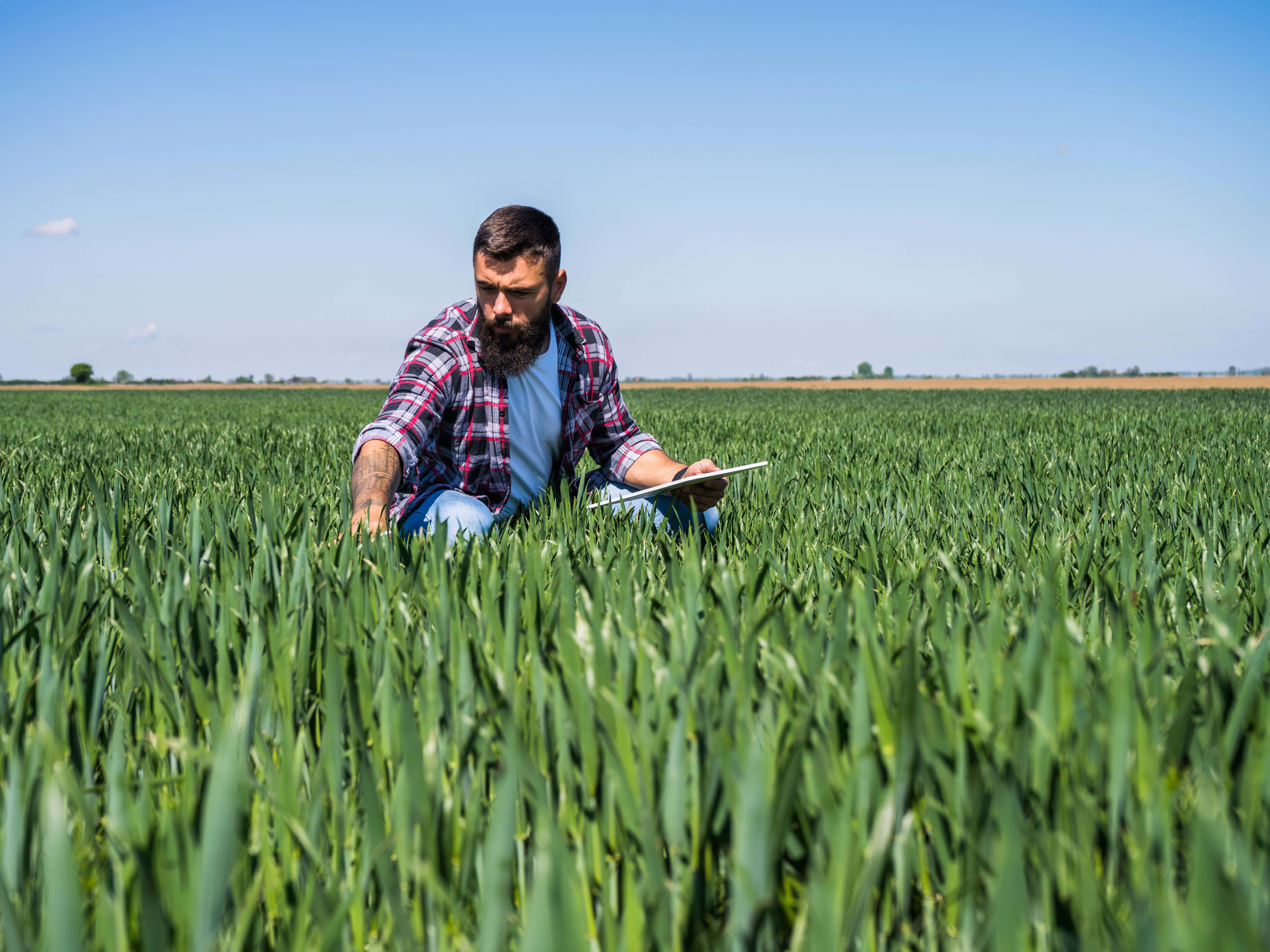 4by3_farmer-is-examining-the-progress-of-crops-in-his-barley-field_9000-x-6000-px