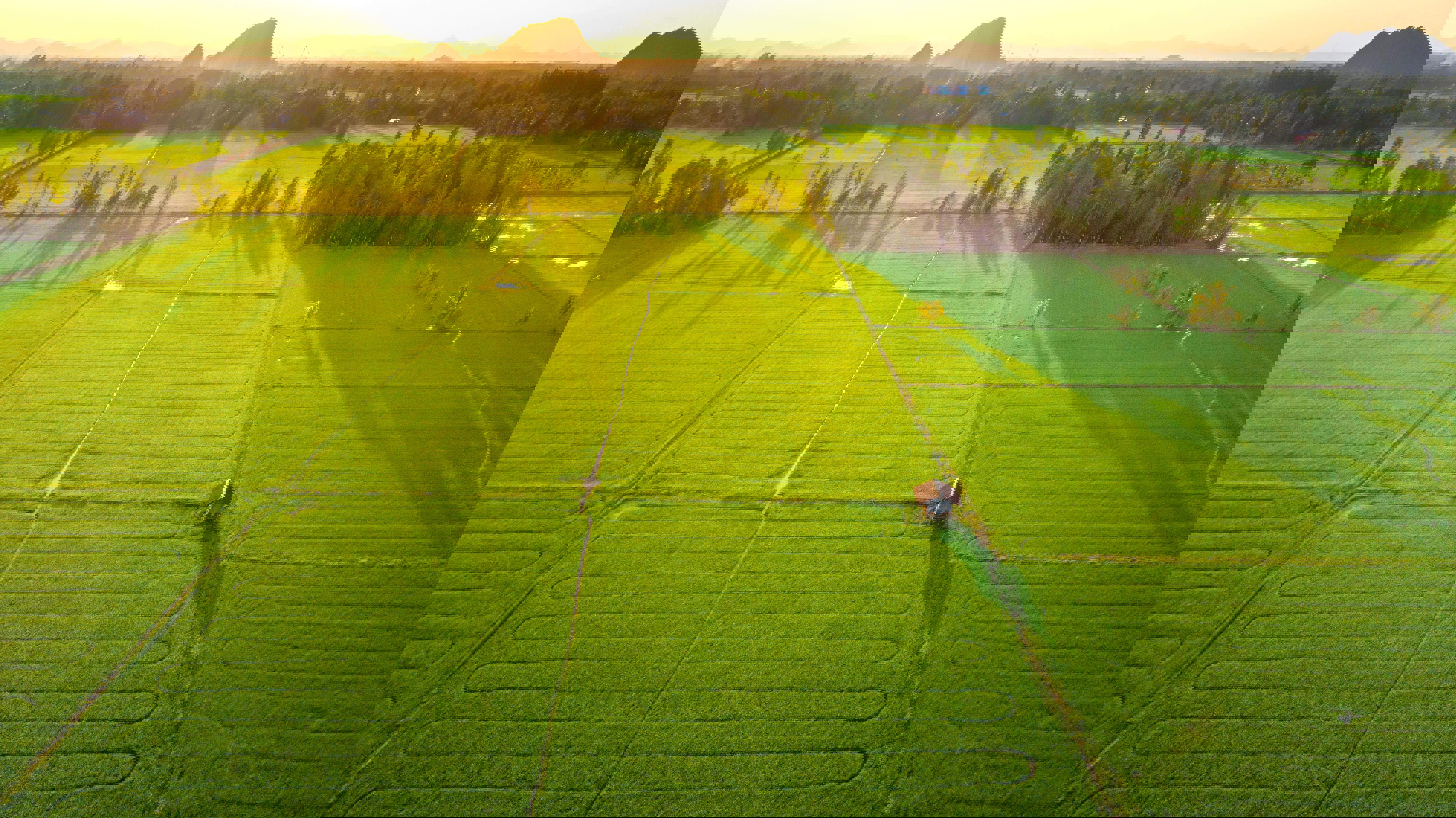 agro-rice-field-in-water-season-and-irrigation-from-drone_8038-x-4516-px-min