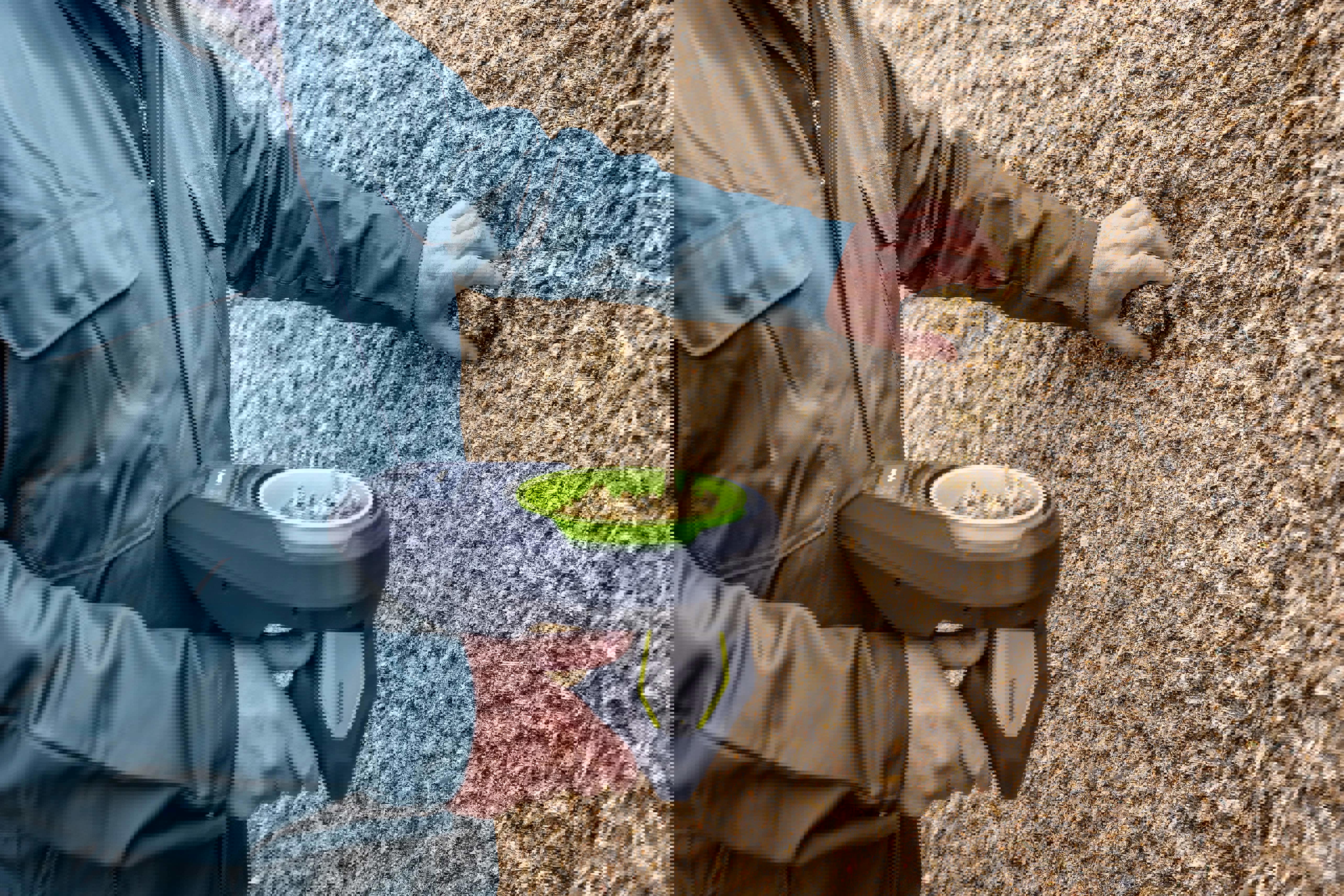 trx_paltwo-f2f_20240917_1612-min