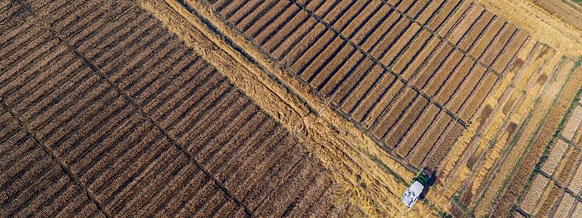 sales-support-banner-2