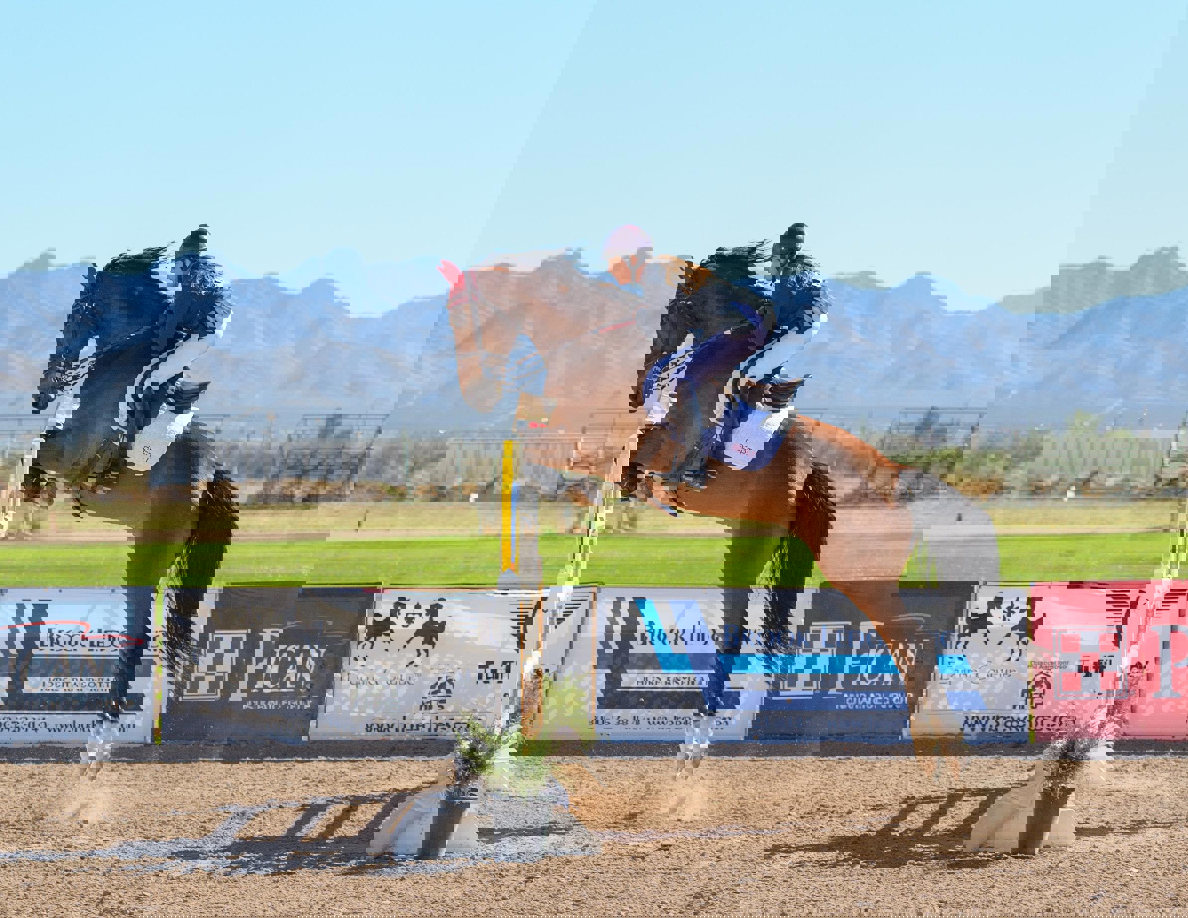 paard-met-ruiter-springen-zijaanzicht-amerika