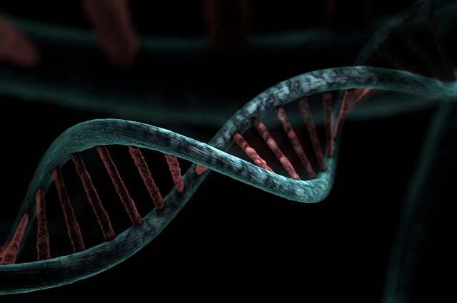 dna-string