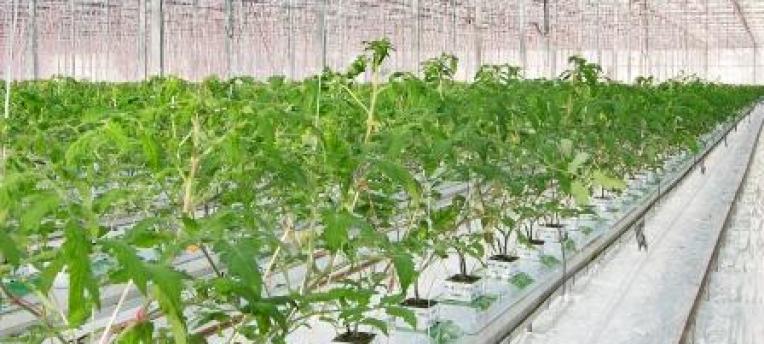 get-more-out-of-your-data