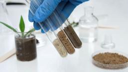 growing-on-the-cutting-edge-of-with-renewable-growing-media-1