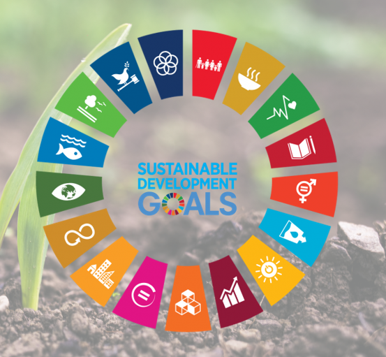 sdgs-on-soil