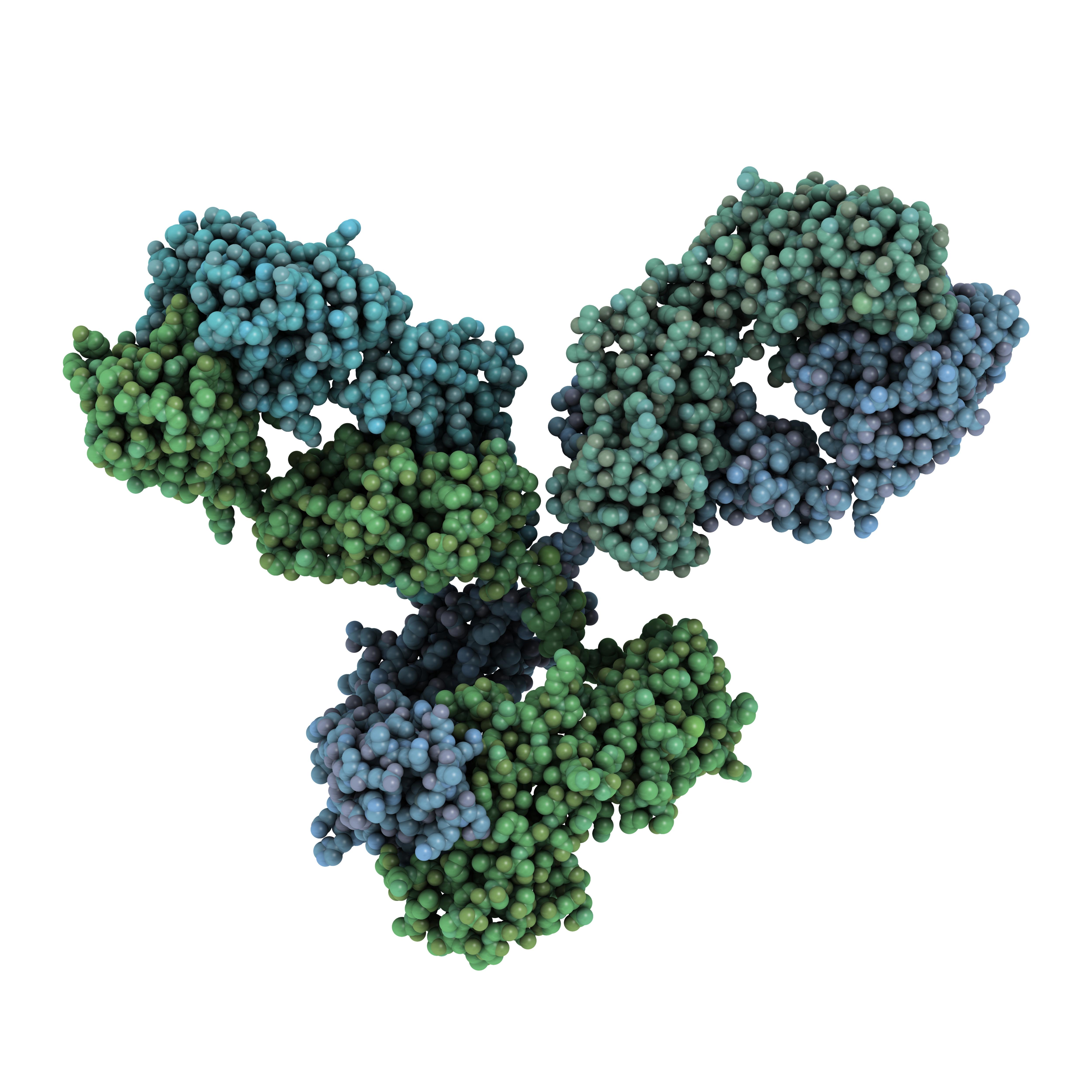 monoclonal-antibody-immunoglobulin-molecule_5000x5000px-1