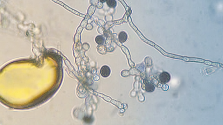 soil-life-monitor-banner-pictures