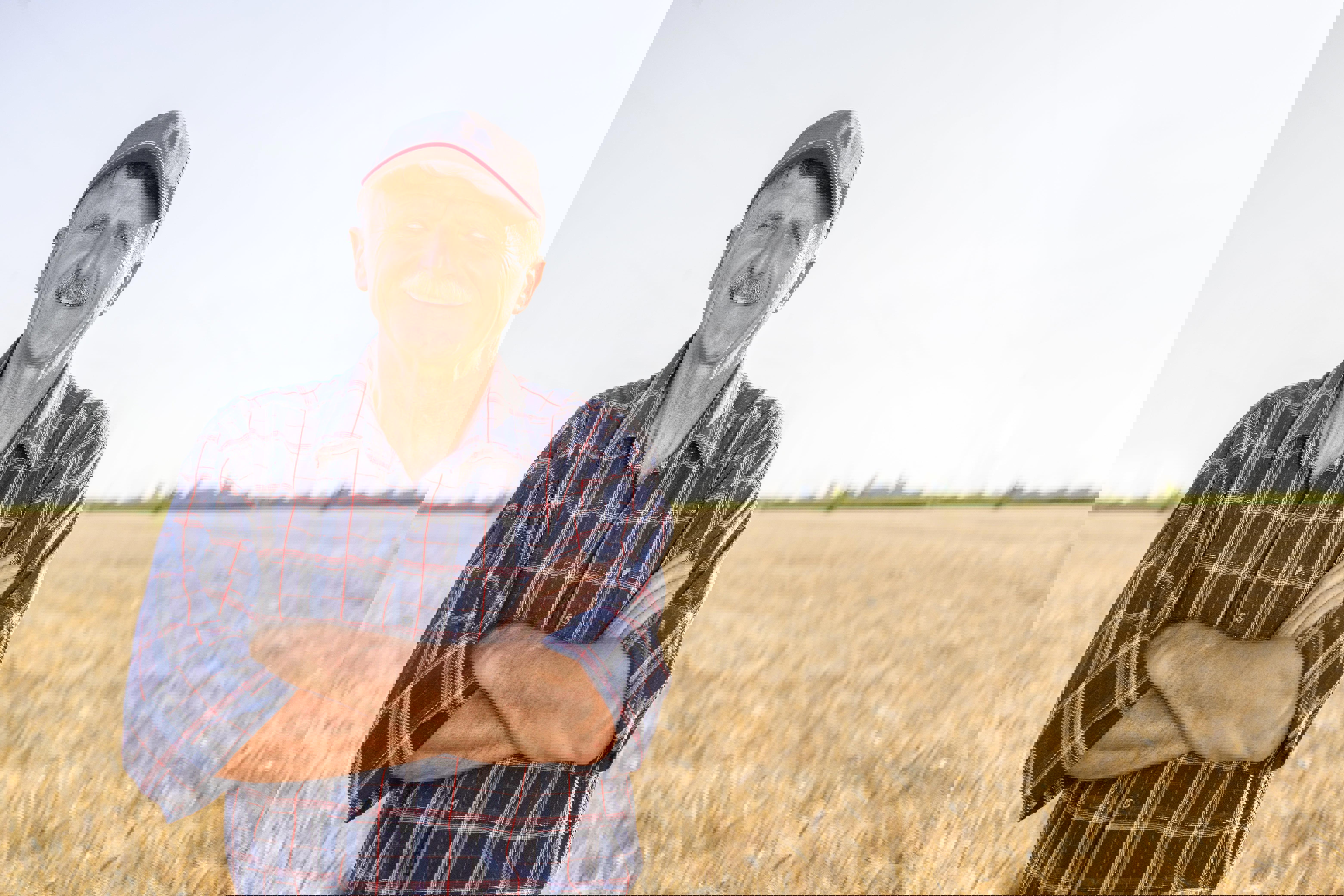 farmer-wheat-field-web