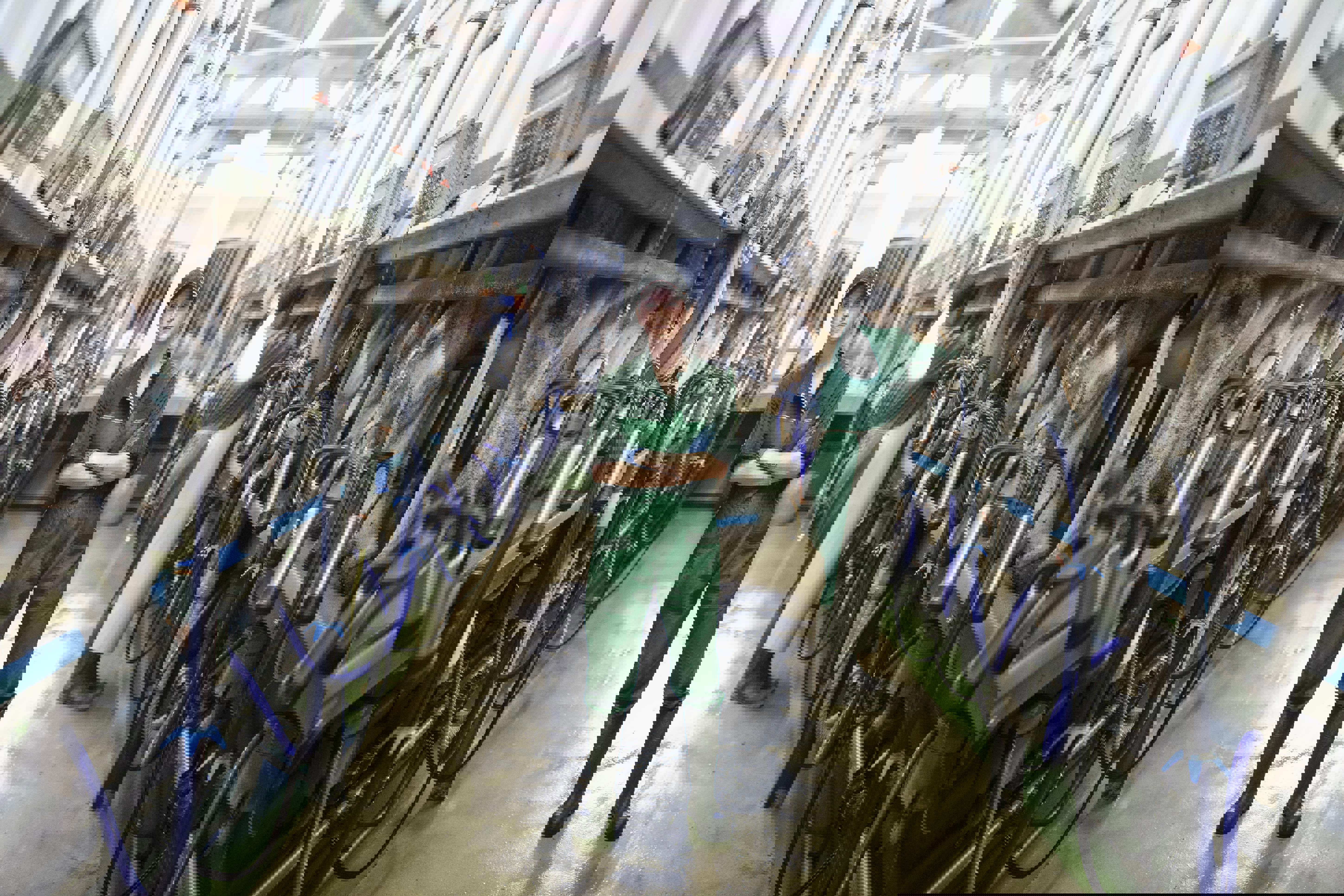 dair-farmer-milking-inside-web