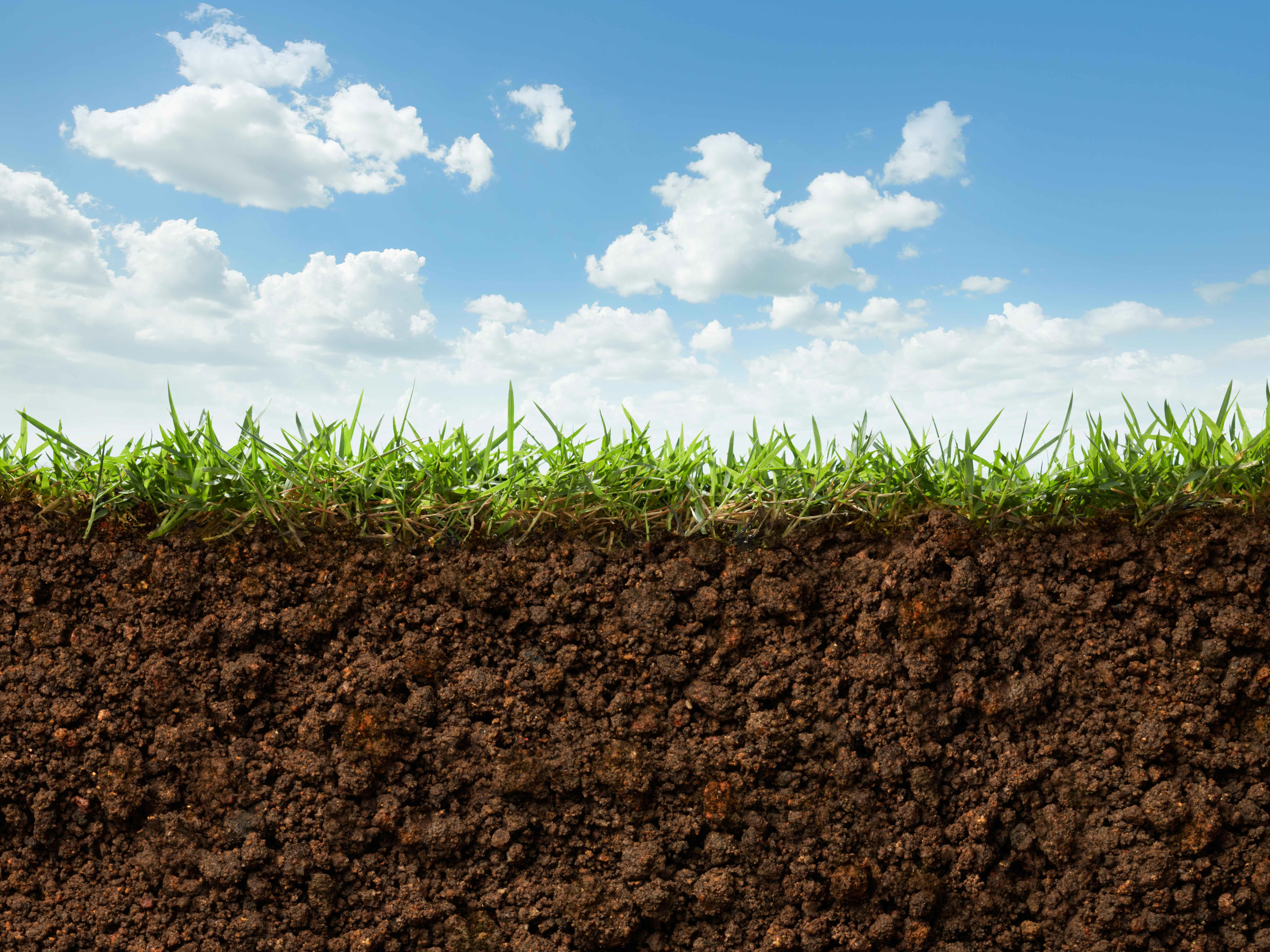4by3_grass-and-soil_8424-x-8640-px
