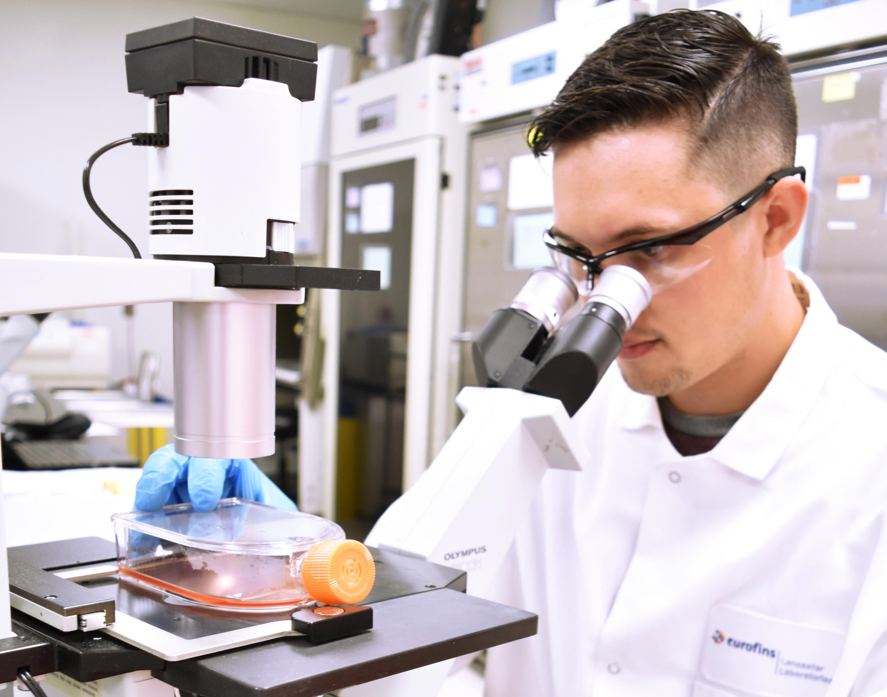vs-observing-cells-with-a-microscope-accordion