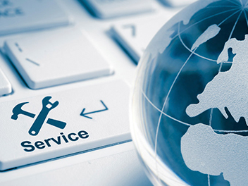 352-264-expert-services