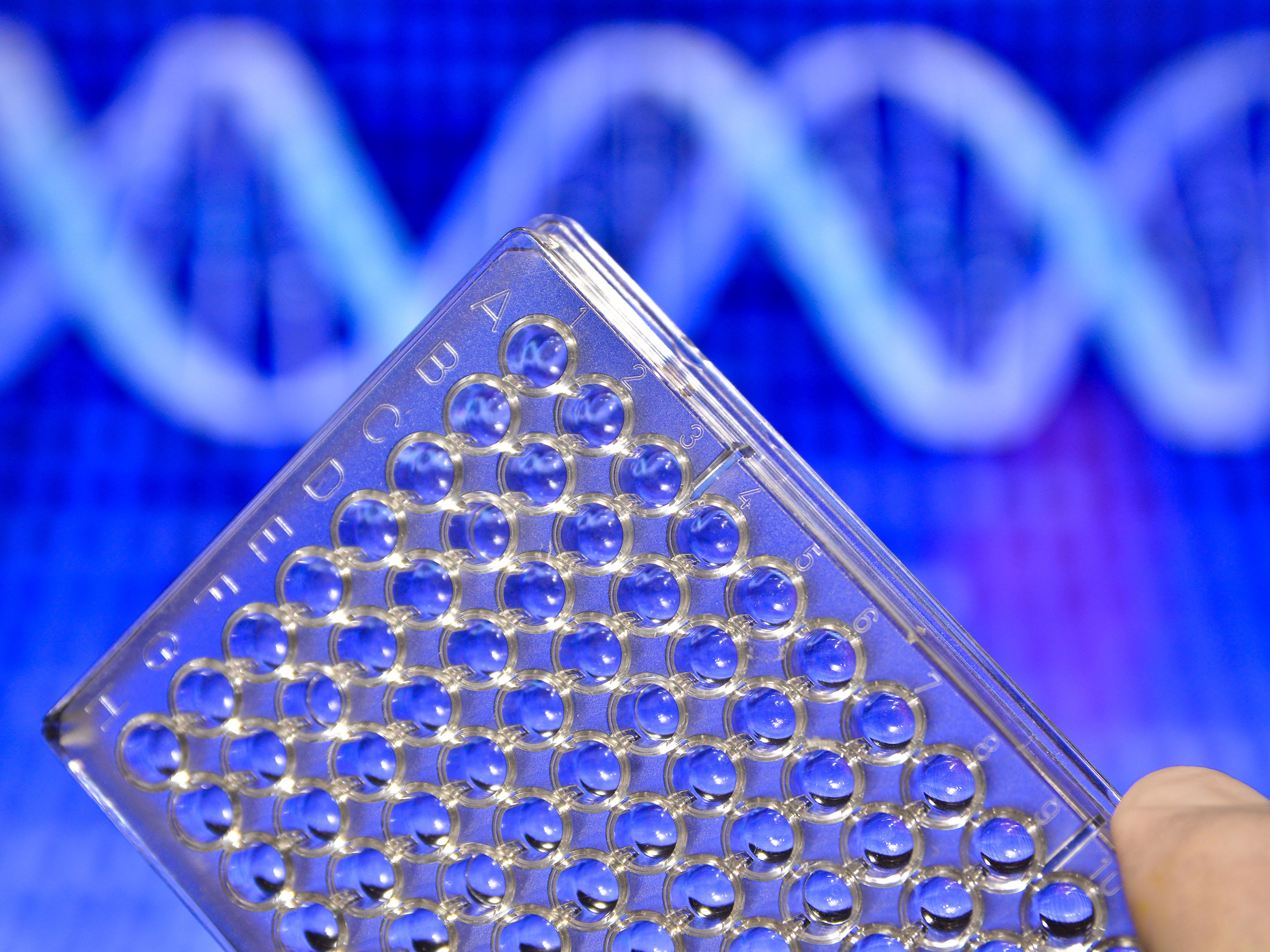 4by3_dna-testing-in-genetic-laboratories-biological-scientific-equipment_3499-x-5250px