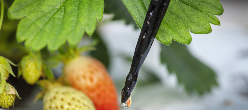 water-en-voedingsoplossingen-1