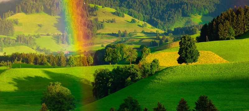 rainbowgrass800x357
