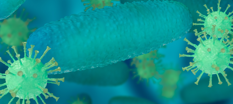 microorganism800x357