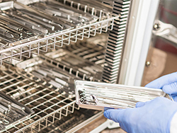 sterility-card
