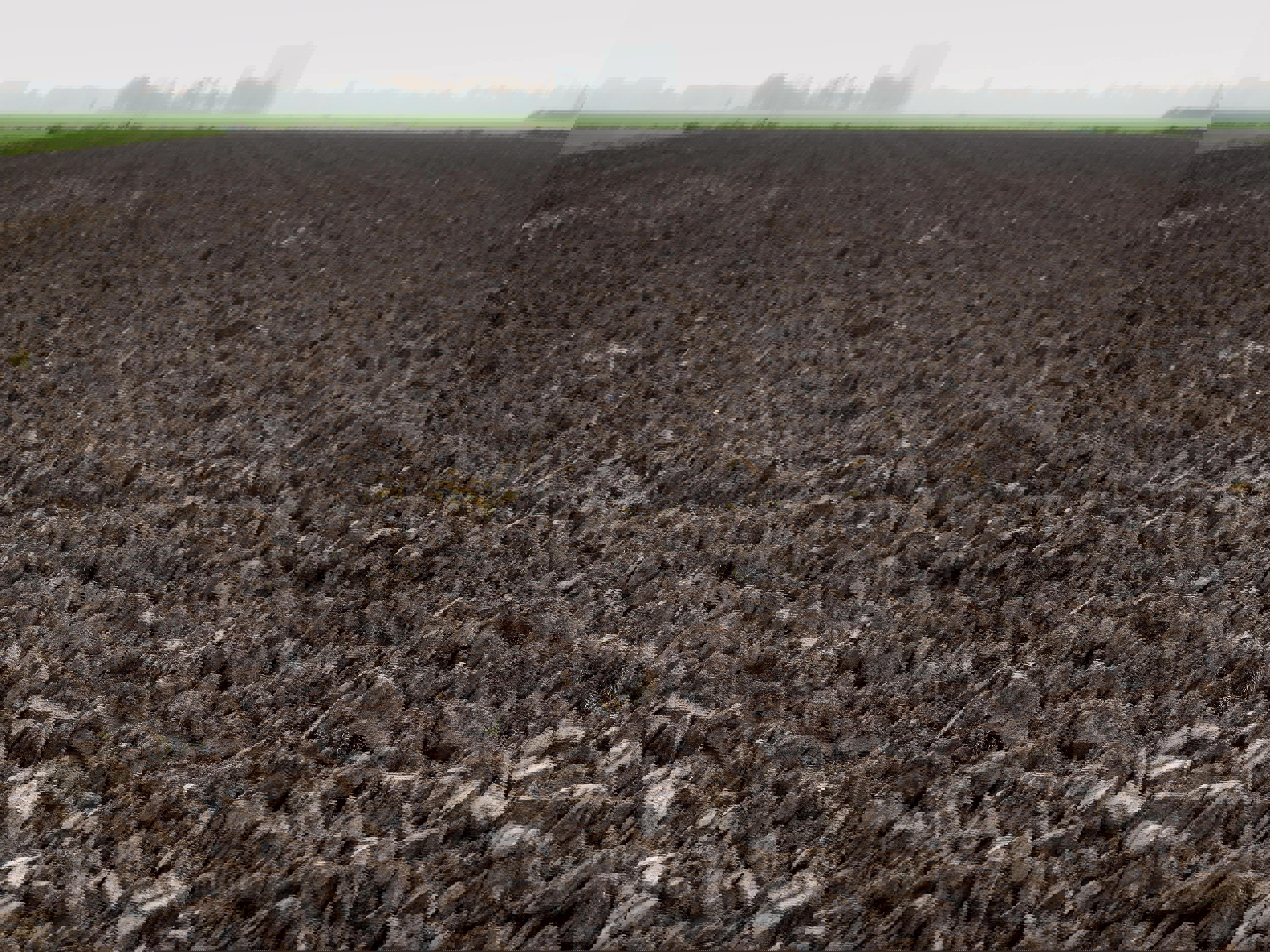 heavy-soil-open-fog-min