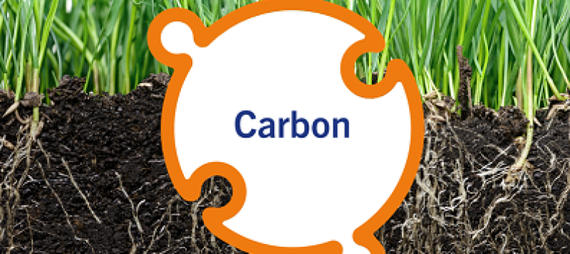 soil-carbon-check-10