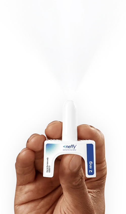 how-neffy-works-desktop