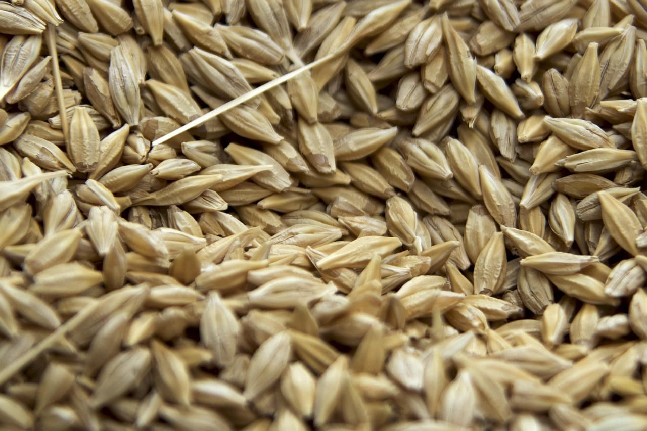 seeds-3713535_1280-min