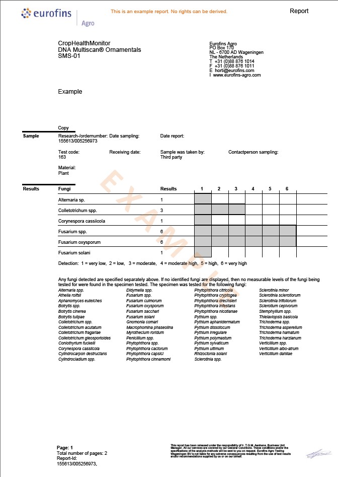 example-report-dna-multiscan