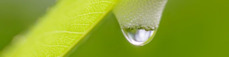 bio-savital-2 (1)