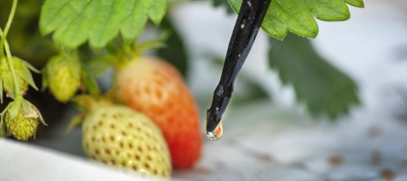 water-and-nutrient-solutions-2