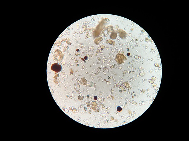 soil-microbes