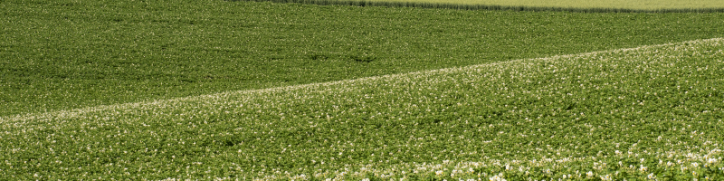 rapid-soil-tests-for-assessing-soil-health