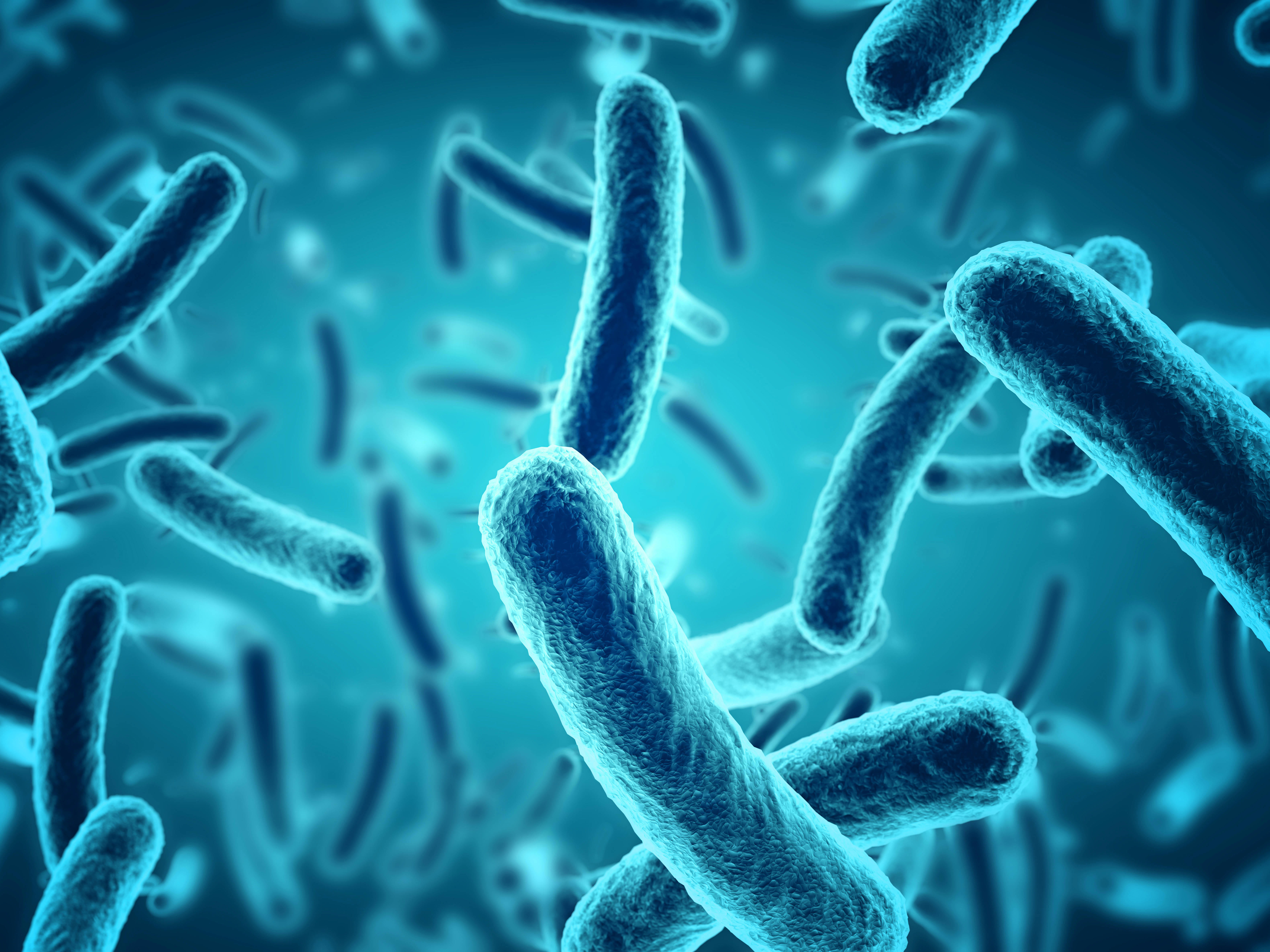 4by3_close-up-of-3d-microscopic-blue-bacteria-xl_9000x5250px