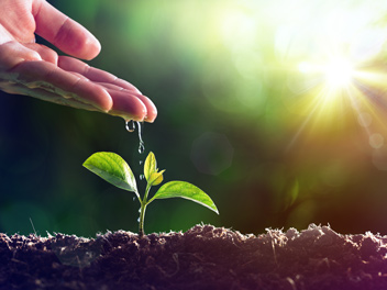 sustainability-services-bt