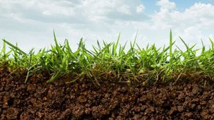 soil-and-grass