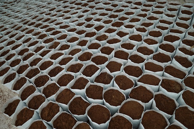 planting-medium-cocos