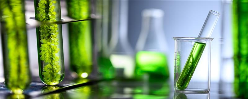 adobestock_336895491_1920x774