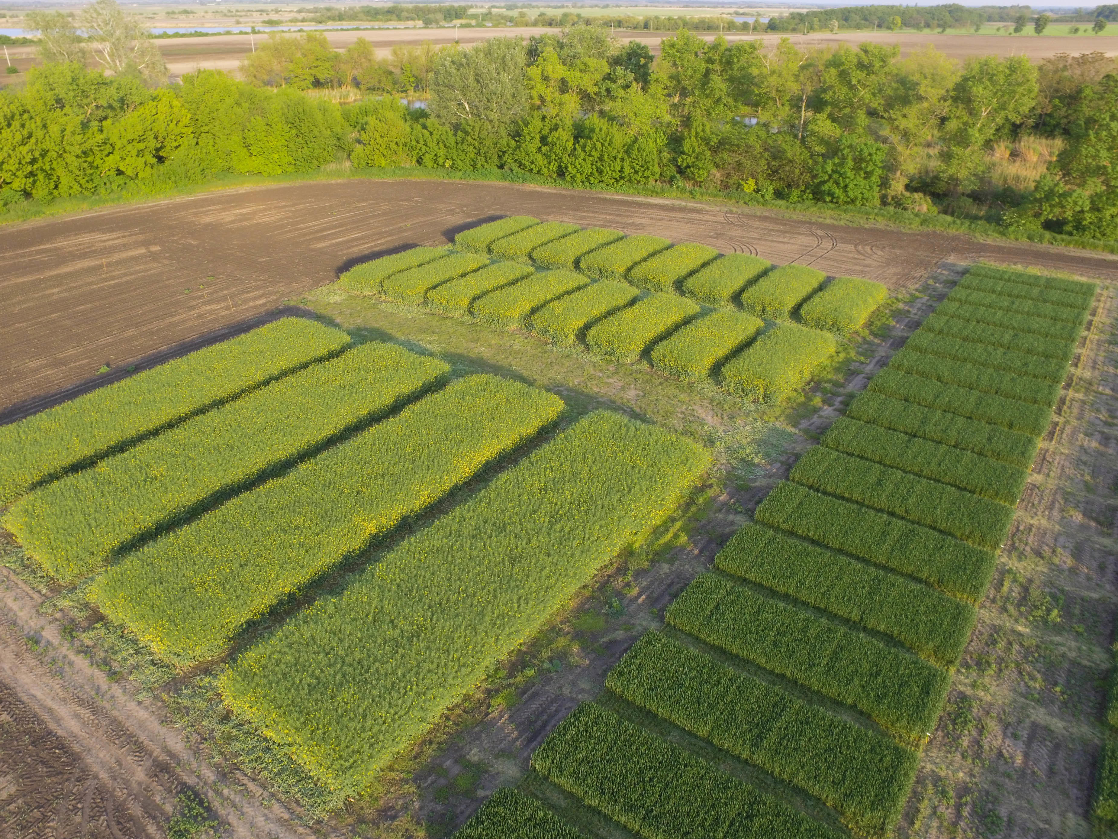 4by3_hu-demo-farm-2