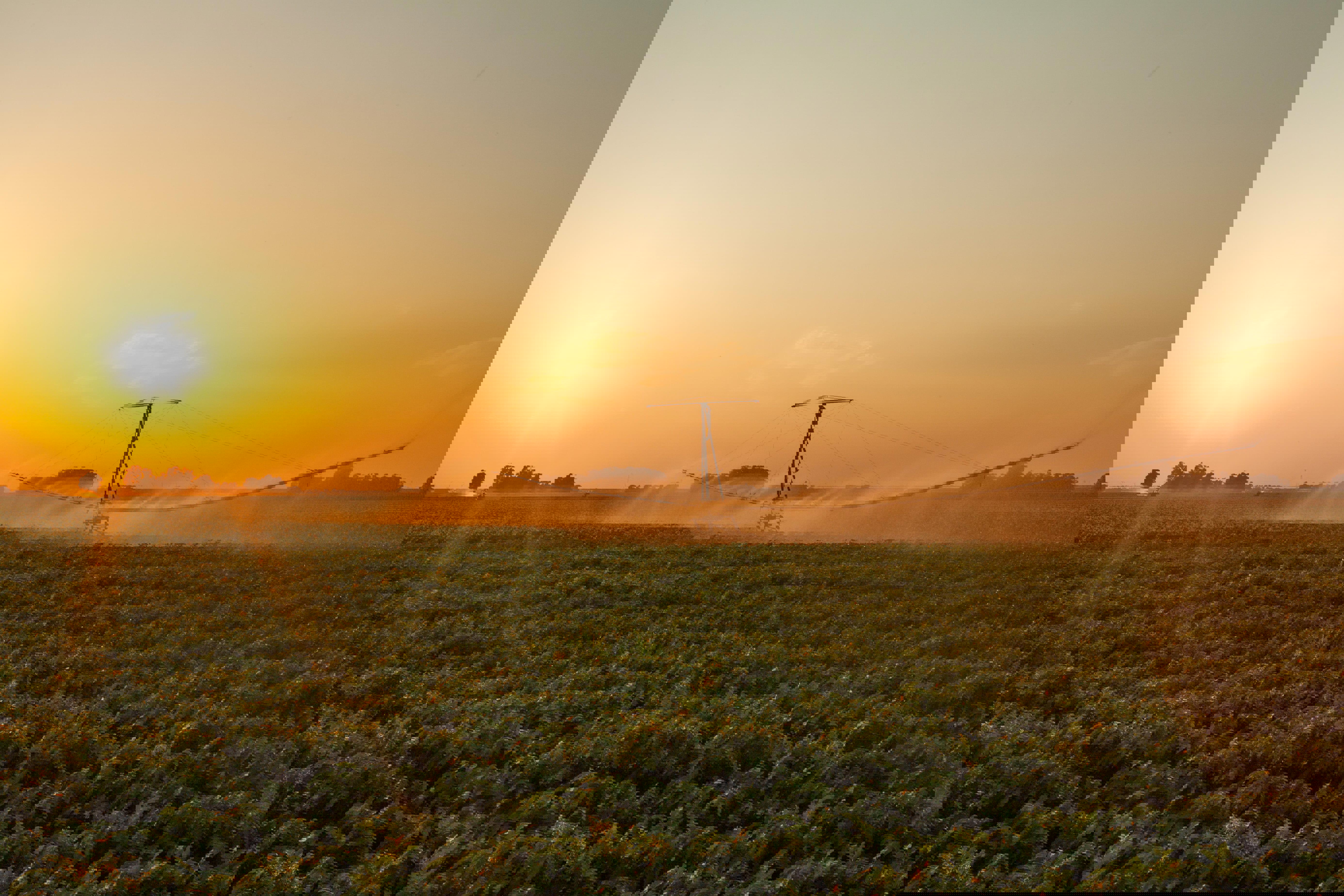 irrigation-evening-web