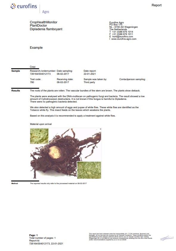 example-report-plant-doctor