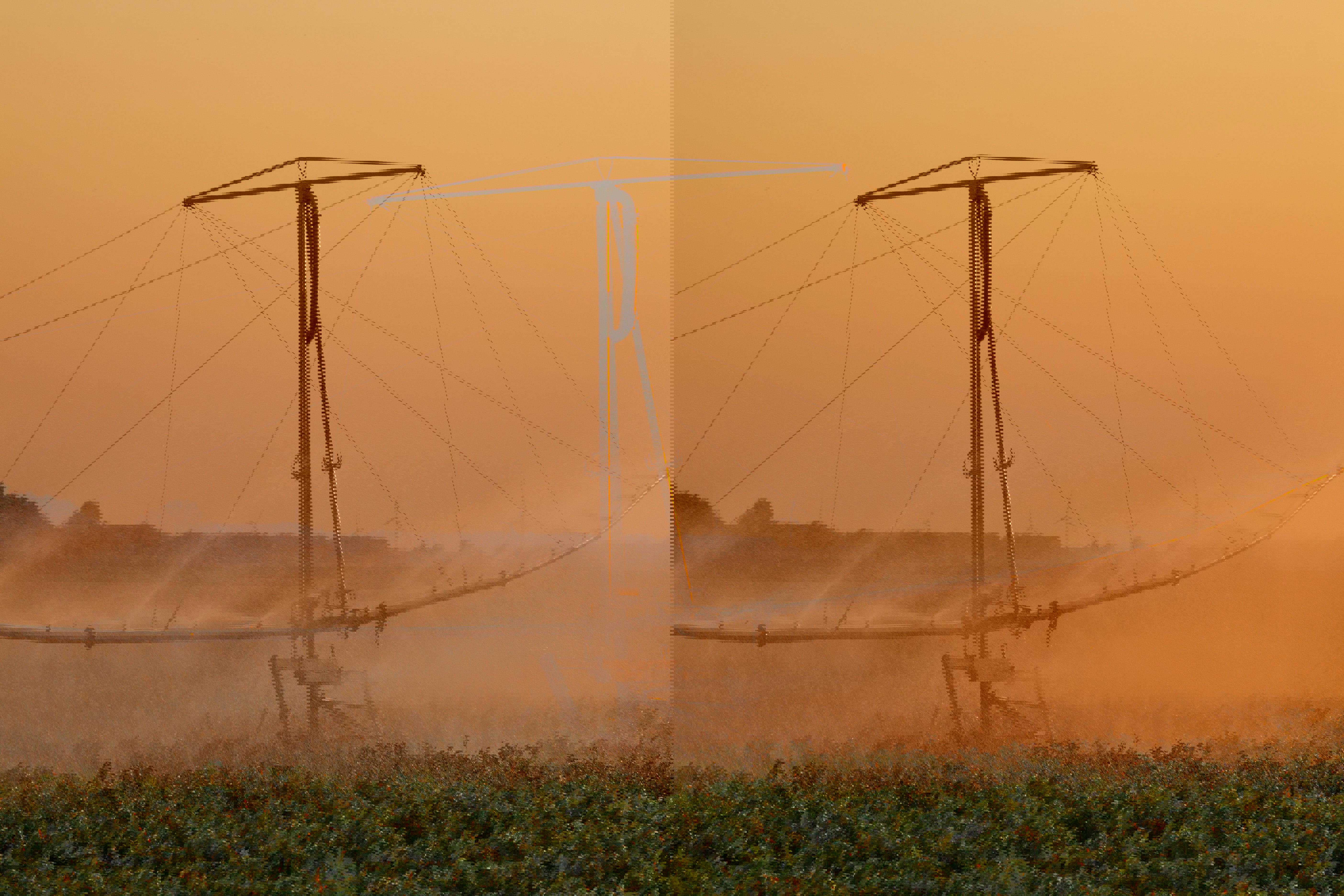 irrigation-web