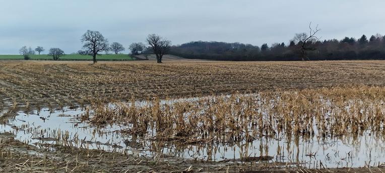 flooded-fields-what-is-the-effect-on-soil