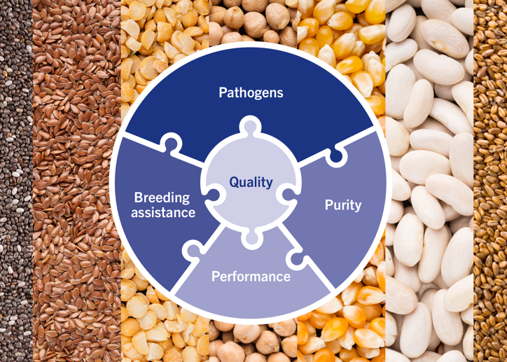 agro-puzzle-seed-health